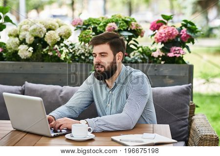 Portrait of contemporary bearded man using laptop at table in comfortable cafe lounge outdoors