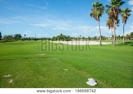 Palm trees cast shadow over golf course fairway with sand bunker beyond and conc shell on tee.