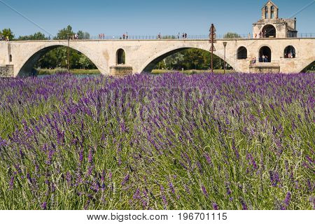 Avignon