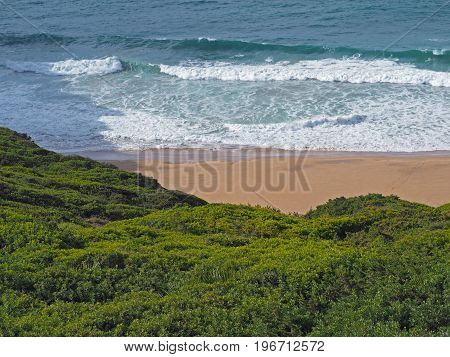 Blue Sea Waves On A Sand Beach With Fresh Green Vegetation