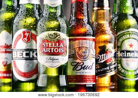 Bottles Of Assorted Global Beer Brands