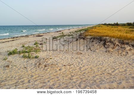 Sandy beach and dunes of the Black Sea