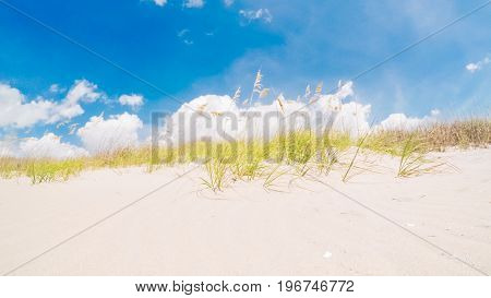 Summer Vacation