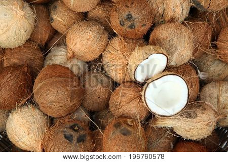 Pile of coconuts  in the food market of  India