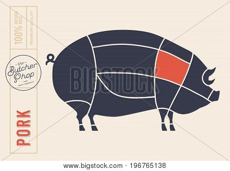 Meat cuts. Diagrams for butcher shop. Scheme of pork. Animal silhouette pork. Vector illustration.