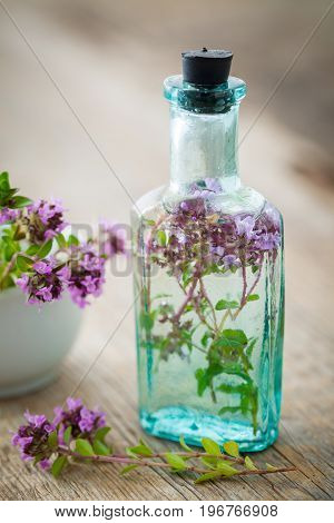 Vintage Bottle Of Thyme Infusion And Mortar Full Of Thymus Serpyllum Flowers. Herbal Medicine.