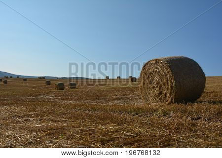 Some hay  bales lie in a landscape with many blue sky