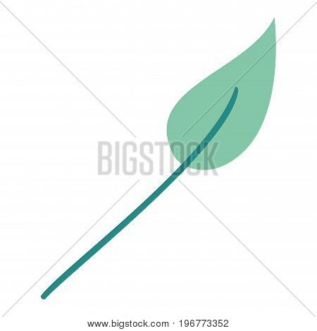 green light color of lanceolate leaf plant vector illustration