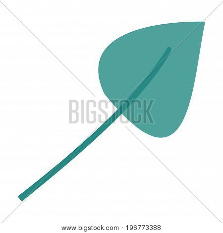 green light color of aovada leaf plant vector illustration