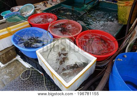 Fresh seafood in a market, in fishermen town in lantau, Hong Kong, China.