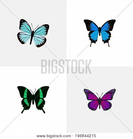 Realistic Lexias, Purple Monarch, Common Blue And Other Vector Elements