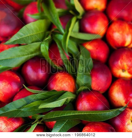Nectarine Background - Fresh organic Cherry fruits. Frame composition of fruits on market stall close up