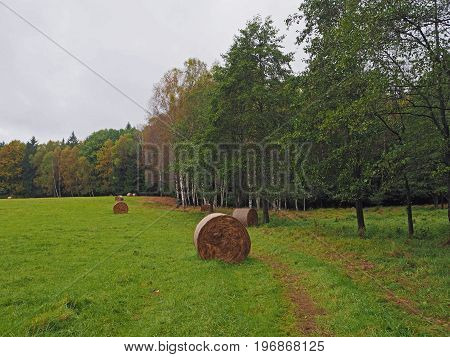 Straw Bales On The Autumn Green Meadow And Colorful