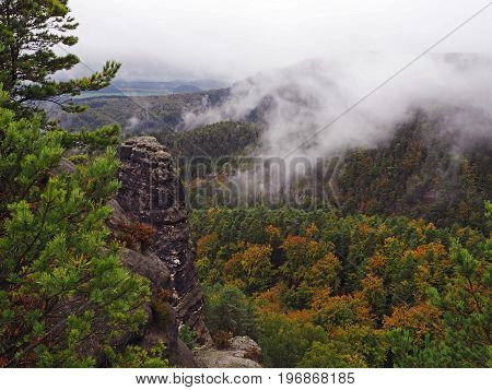 Sandstone Pillas In National Park Czech Switzerland In Foggy Autumn With Pine Tree Forest