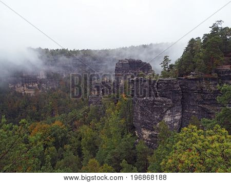 Sandstone Pillars In National Park Czech Switzerland In Foggy Autumn With Pine Tree Forest