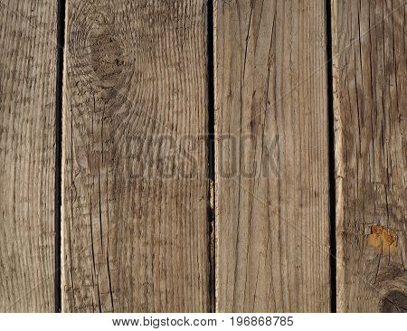 Vertical Beige Old Plank Texture - Old Wood Background