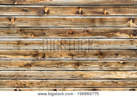 Natural brown barn wood wall. Wooden wall background design. Wood planks, boards are old with a beautiful rustic look. Timber design style.