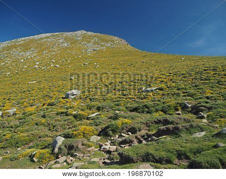 Green Mountain Meadow With Rocks And Blue Sky