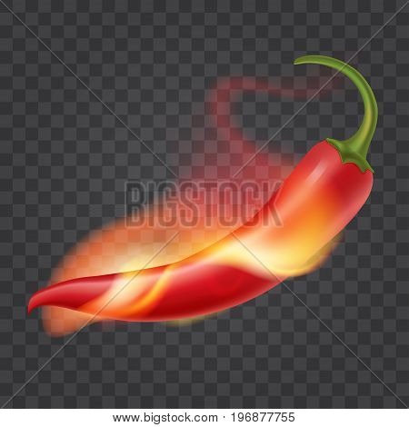 Hot chili pepper on fire. Flame around red pepper. On transparent background. Realistic illustration. Vector eps 10.