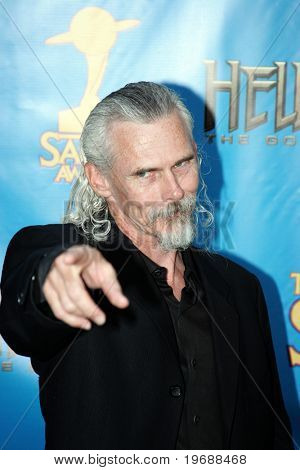 UNIVERSAL CITY, CA - JUNE 24: Actor Camden Toy attends the 34th Annual Saturn Awards at the Hilton Hotel June 24, 2008 in Universal City, California.