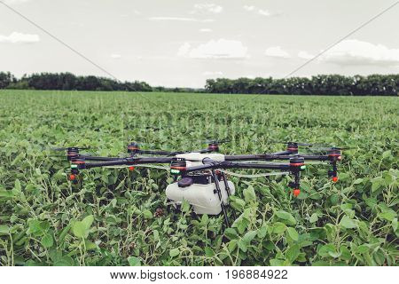Professional agriculture drone stands on the ground green field. Octocopter flight preparation