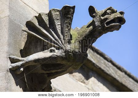 A gargoyle on the exterior of St. Marys Church in York UK.