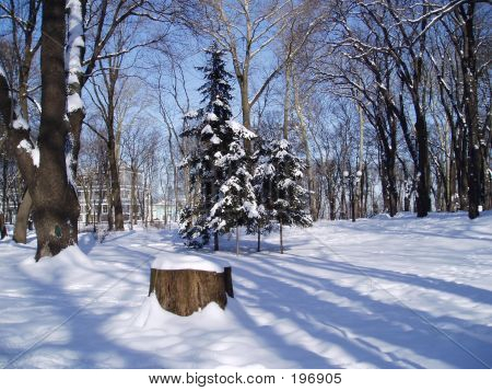 Winter Park