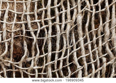 Detail photo of an old mesh (geogrid) for stabilizing slopes and soil.