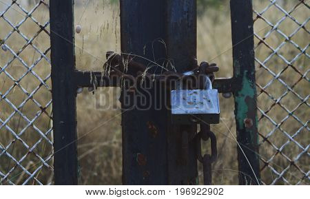 Silver padlock closing an old door in the nature