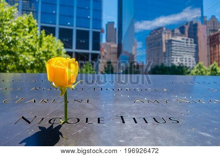 NEW YORK, USA - MAY 05, 2017: Yellow flower inside of a footprint name at 911 memorial world trade center in New York Usa.