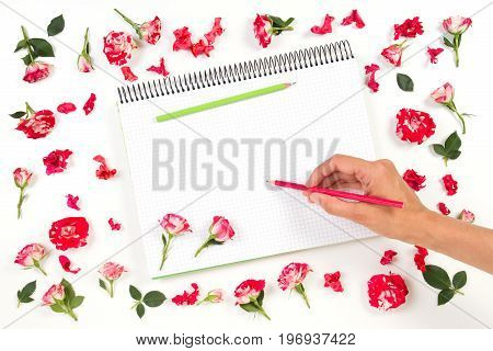 Woman hand drawing on spiral notebook with colored pencils and rose frame. Top view