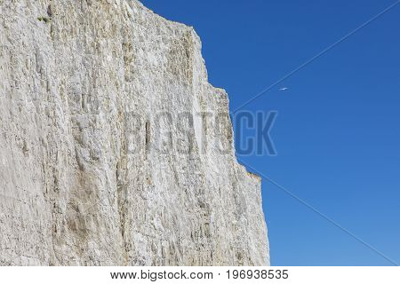 The beautiful chalk cliffs along the coastline in East Sussex in the UK.