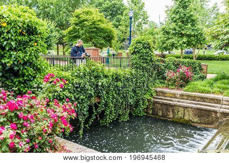 Frederick USA - May 24 2017: Carroll Creek in Maryland city park with canal and fountain waterfall and flowers in summer with photographer taking pictures