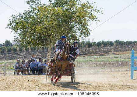 Indoor horse-hitch competition held in the village of trebujena, located in the province of Cadiz, southern Spain Photo taken on July 22, 2017