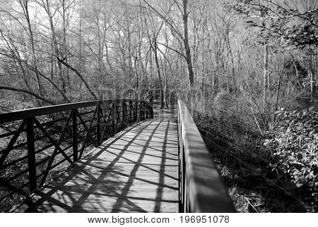 Bridge for walking through wooded paths in forest in black and white