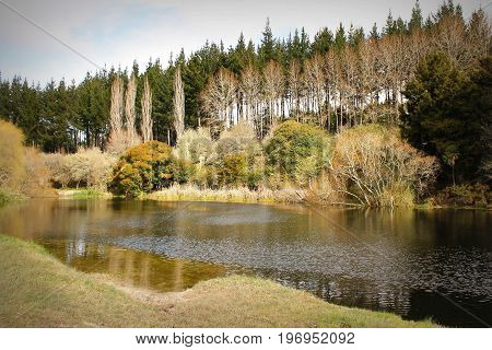A beautiful day at the river in Nothland - New Zealand