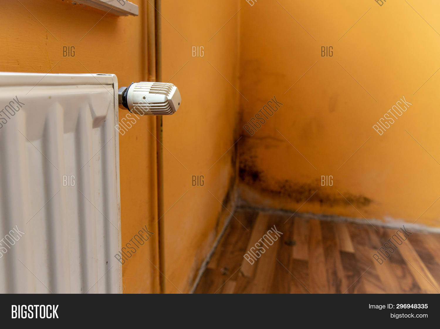 Mold Build Corner Image & Photo (Free Trial) | Bigstock