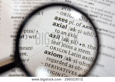 The Word Of Phrase Axil In A Dictionary.