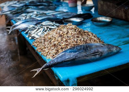 Seafood At The Fish Market. Street Food, Dining Markets, Seafood In Sri Lanka. Tuna And Shrimp