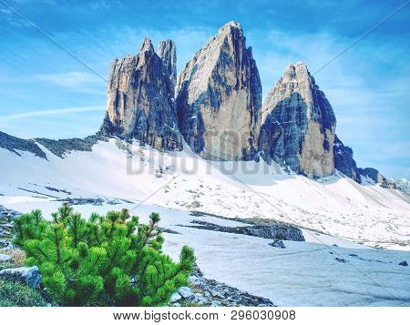 Spring On Trail Around Tre Cime (three Peaks) Di Lavaredo Massive. The Famous Mountains In Dolomites
