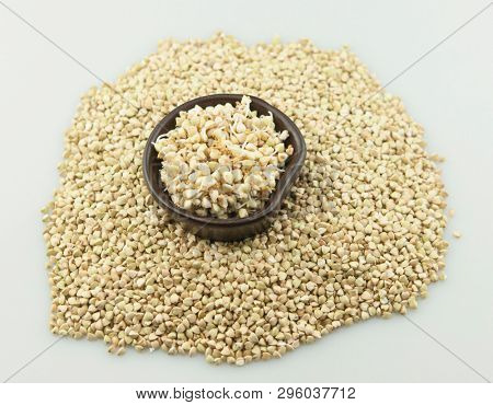 Sprouts of green buckwheat on white background. Macro shot raw organic buckwheat plant. Vegan germinated sprouts, vegetarian cuisine. Healthy diet buckwheat porridge food. 