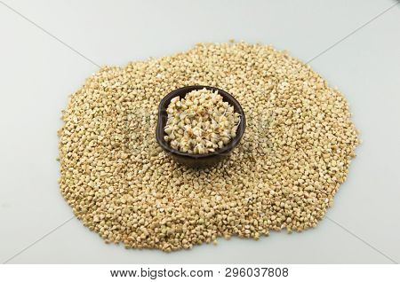 Sprouts of green buckwheat on white background. Macro shot raw organic buckwheat plant. Vegan germinated sprouts, vegetarian cuisine. Healthy diet buckwheat porridge food. 