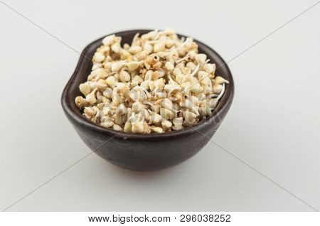 Sprouts of green buckwheat on white background. Macro shot raw organic buckwheat plant. Vegan germinated sprouts, vegetarian cuisine. Healthy diet buckwheat porridge food. 