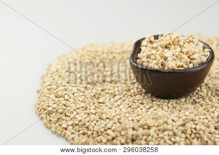 Sprouts of green buckwheat on white background. Macro shot raw organic buckwheat plant. Vegan germinated sprouts, vegetarian cuisine. Healthy diet buckwheat porridge food. 