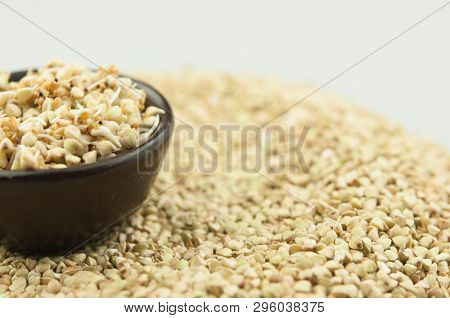 Sprouts of green buckwheat on white background. Macro shot raw organic buckwheat plant. Vegan germinated sprouts, vegetarian cuisine. Healthy diet buckwheat porridge food. 