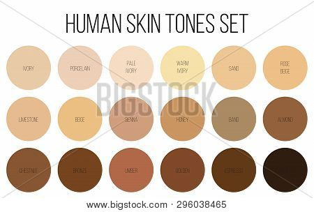 Creative Vector Illustration Of Human Skin Tone Color Palette Set Isolated On Transparent Background