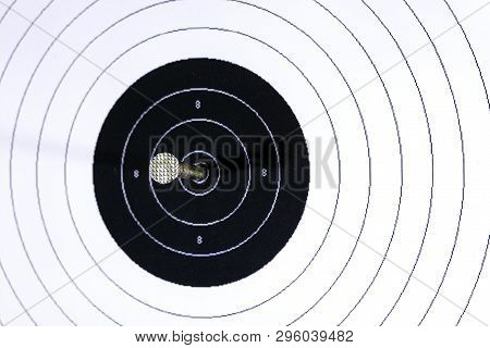Business Success Concept. Target Hit In Center By Steel Nail.