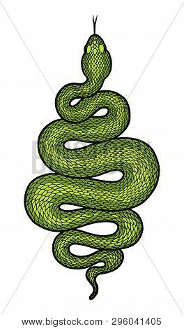 Coiled Green Snake Detailed Illustration. Tribal Serpent Isolated Over White Background. Vector Tatt