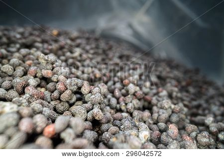 Inside The Bag Full Of Poppy Seeds. Macro Shot Of Dried Pile Of Poppy Seeds In A Plastic Bag