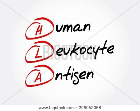 Hla - Human Leukocyte Antigen Acronym, Medical Concept Background